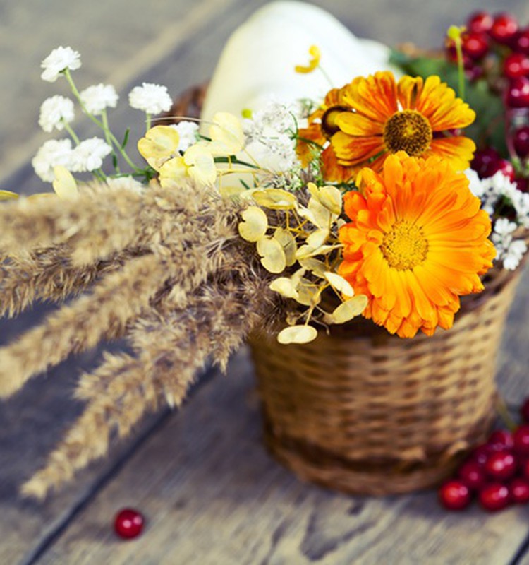 СЕНТЯБРЬ 2016: Разогнались? Побежали!