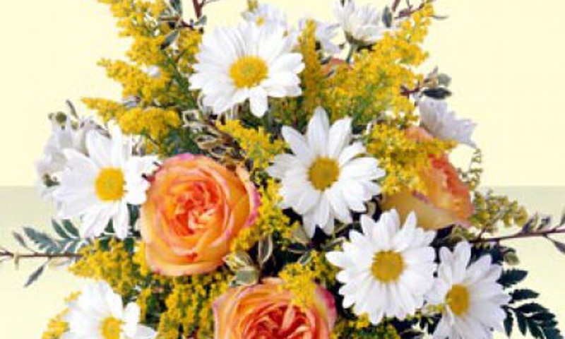 Поздравление летних мамочек 2010 завершено! Почти...