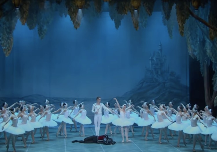 В Риге покажут балет «Лебединое озеро и 48 лебедей» в сопровождении симфонического оркестра