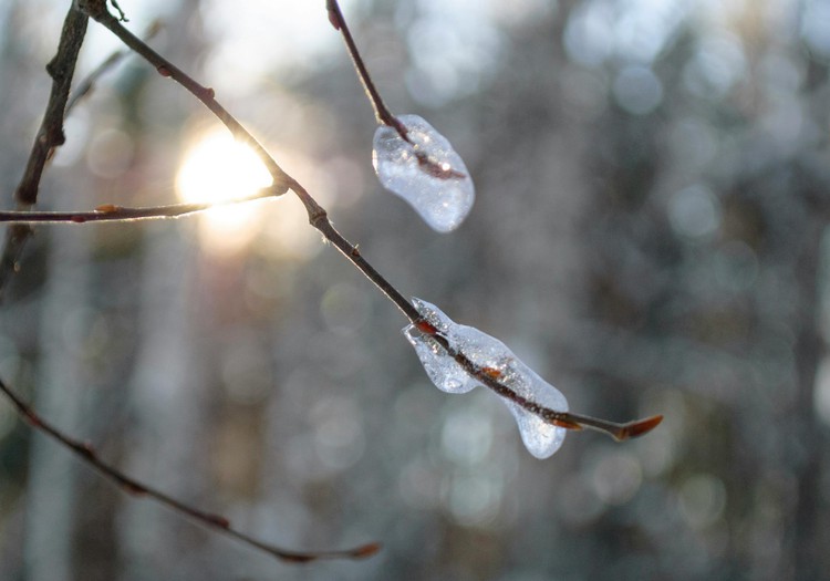 Пробудиться от зимней усталости: как естественно активировать гормоны счастья?