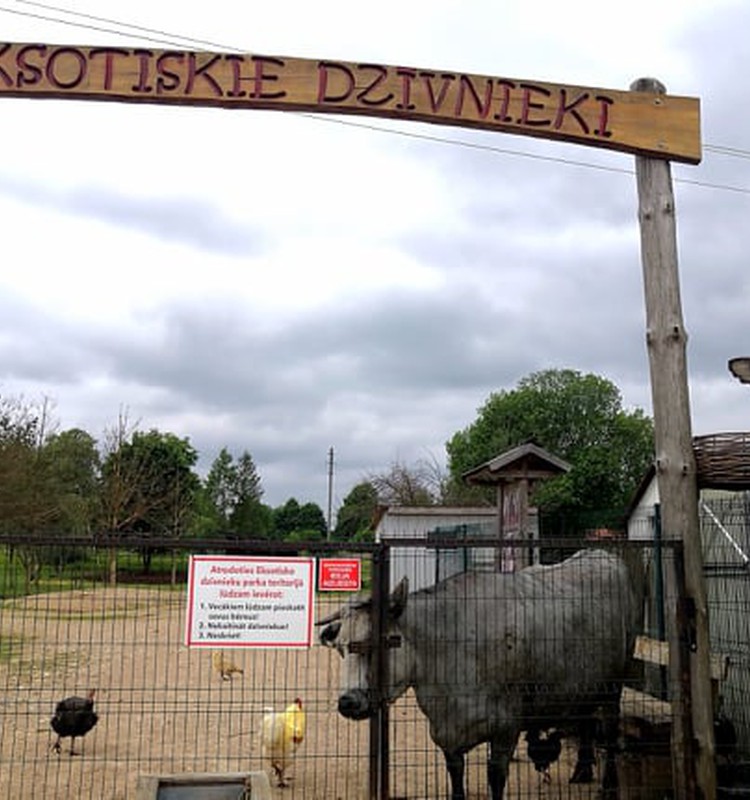 Лето, ах лето: ох уж эти мини зоопарки – парк экзотических животных в Дундаге