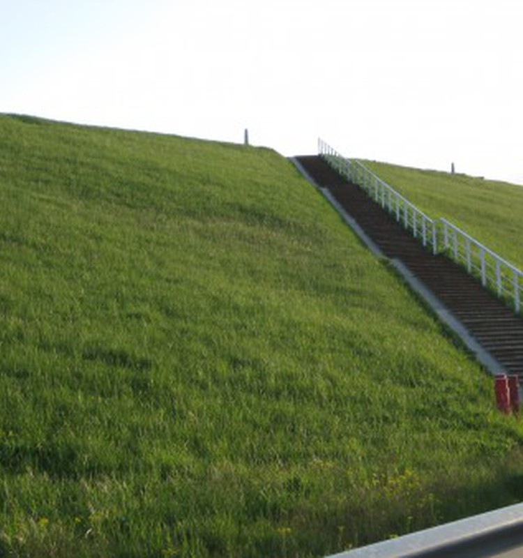 Место для прогулки