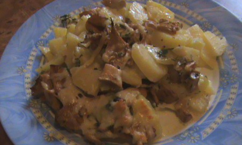 Картофельная запеканка с лисичками