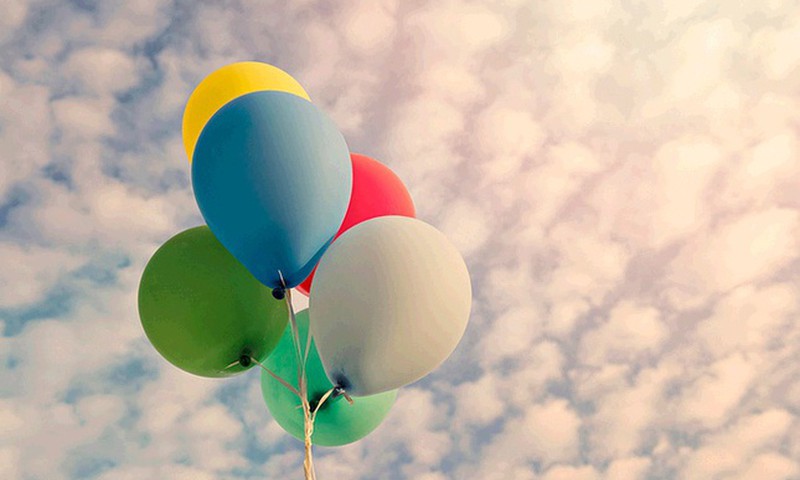 Мои таракашки