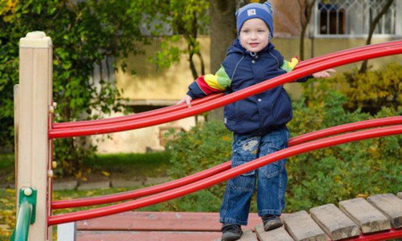 Наши любимые осенние прогулки