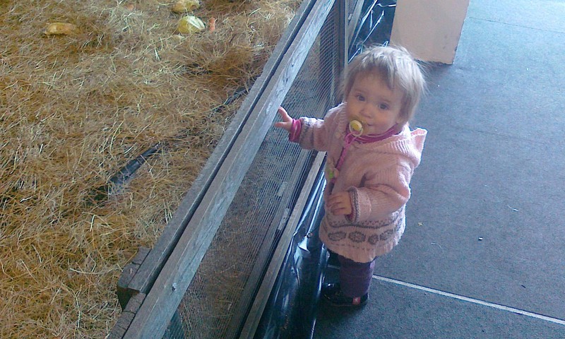 Никушин словарь в год и 2 месяца