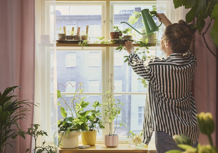 От подоконников до полок - как интегрировать весеннюю рассаду в интерьер