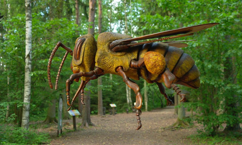 Жизнь пчел в природном парке Лаумас