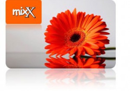 Игра дня: Какие товары предлагает магазин "mixX"?