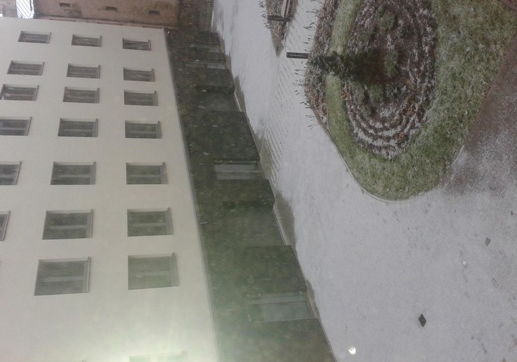 Мой первый снег 2015