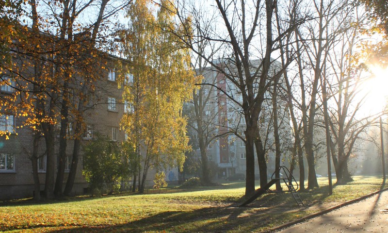 Такое нежное, тёплое утро