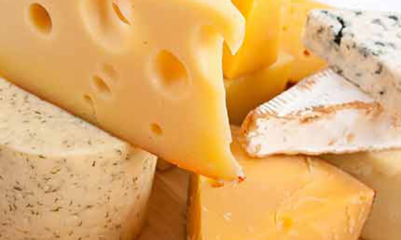 От чего зависит качество сыра