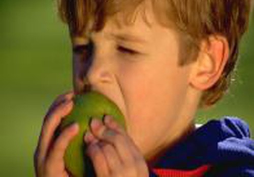 Школьников бесплатно накормят яблоками, клюквой и брюквой