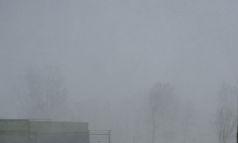 Весенняя метель...