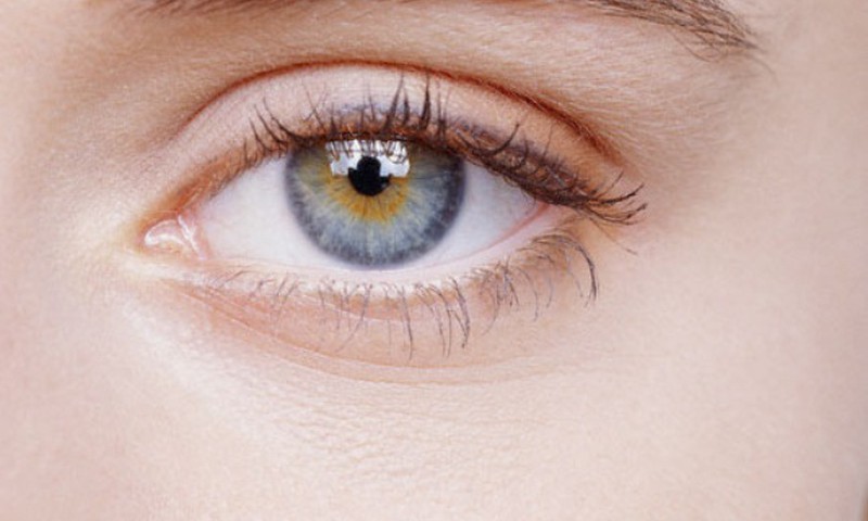 Первые итоги весеннего проекта!