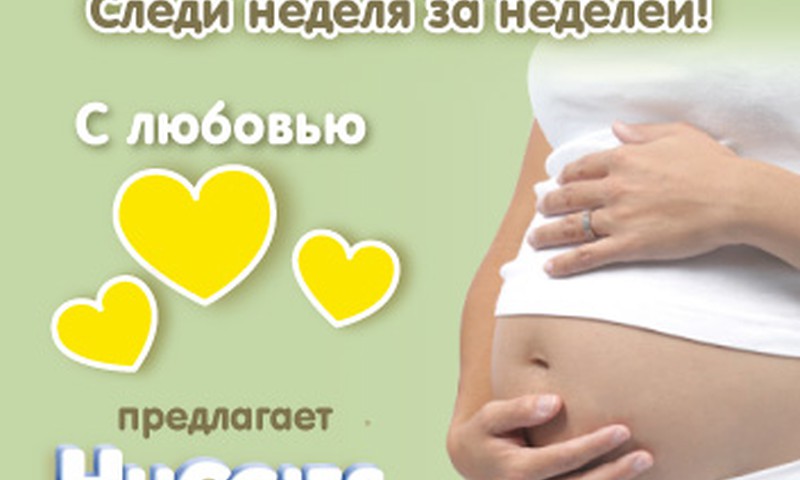Календарь беременности Маминого Клуба: следи неделя за неделей!