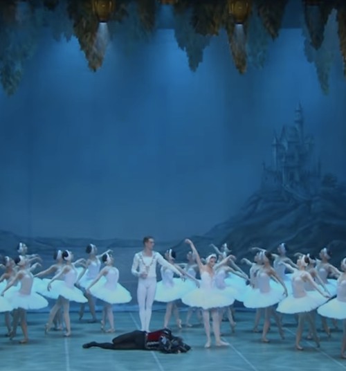В Риге покажут балет «Лебединое озеро и 48 лебедей» в сопровождении симфонического оркестра