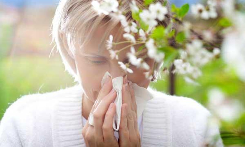 БЛОГ ЛЕНЫ: Аллергия на пыльцу и как с ней справляться