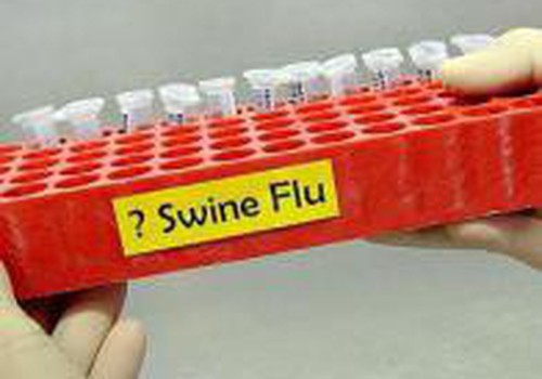 ВОЗ: новой эпидемии свиного гриппа не будет