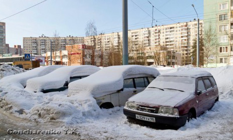 Пришла зима, вокруг сугробы и "подснежники"