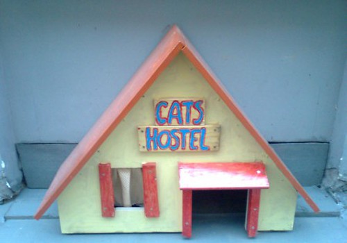 В Старой Риге появился CATS HOSTEL