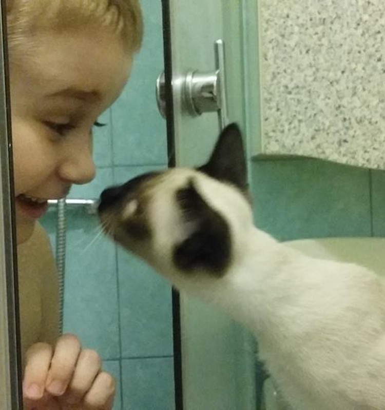 Ты только посмотри: 11 котиков и их юных владельцев!