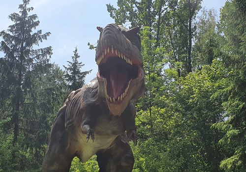 В поисках динозавров: Раубонис парк, Литва (1)