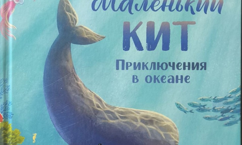 Книжный клуб: Маленький кит. Приключения в океане