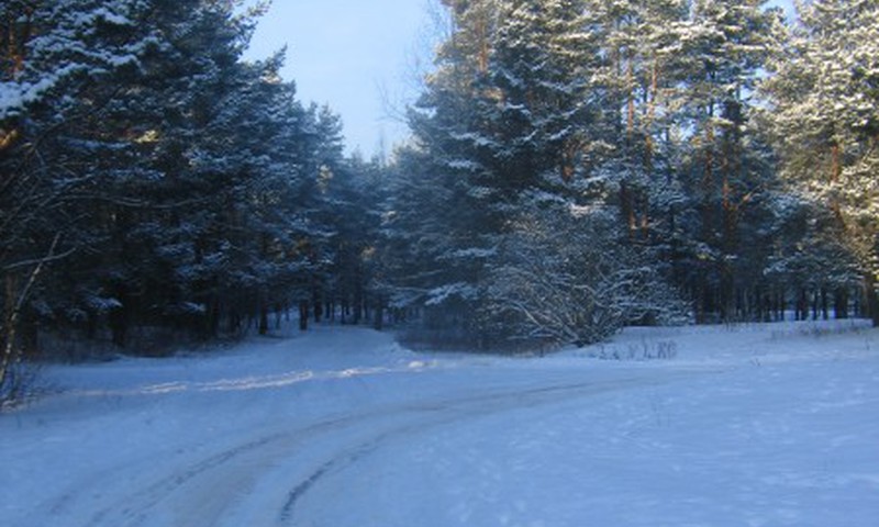 НАСТОЯЩАЯ зима!