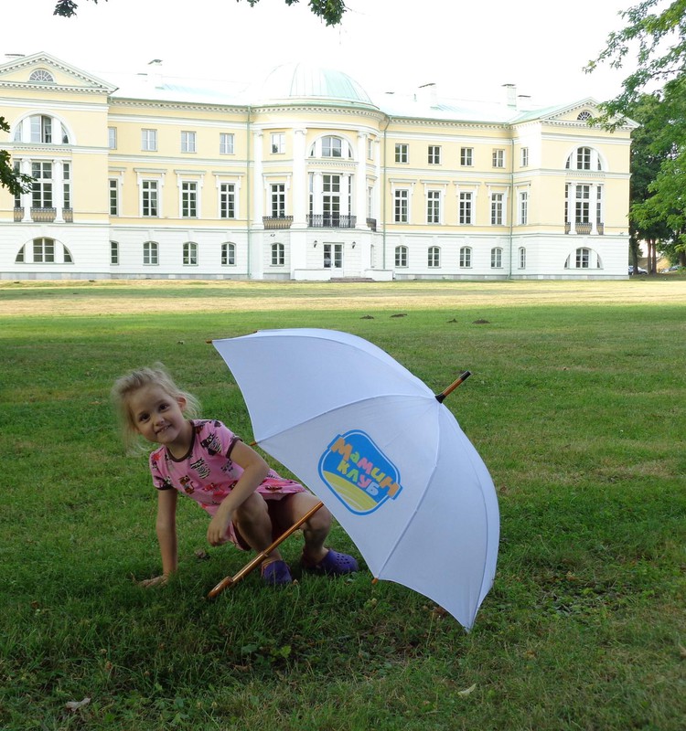 Замок Межотнес