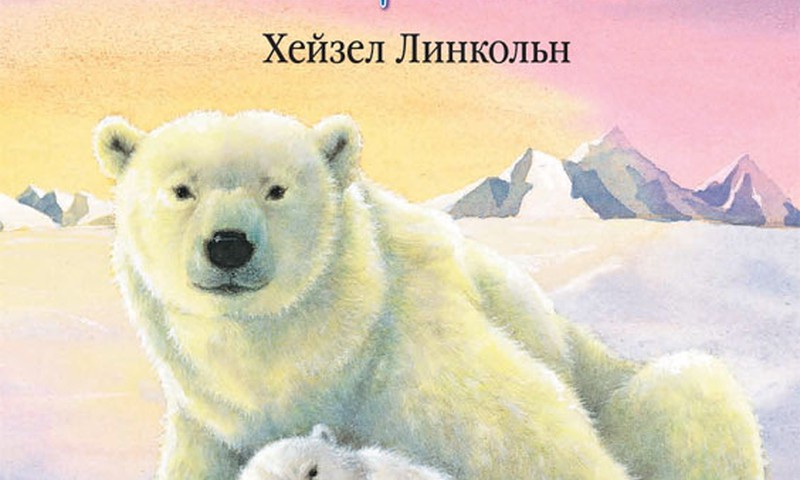 Книжный клуб: Как медвежонок солнце искал