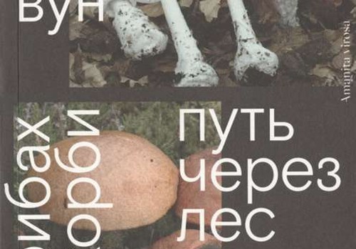 О грибах и скорби