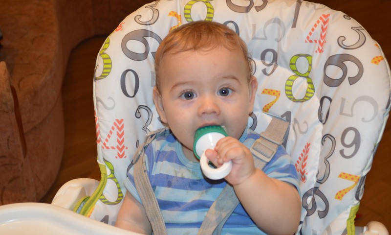 Саша: кушает из ниблера