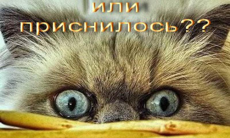 Ты прямолинейный человек?