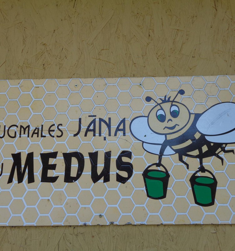 В гостях у пчёл в Даугмале