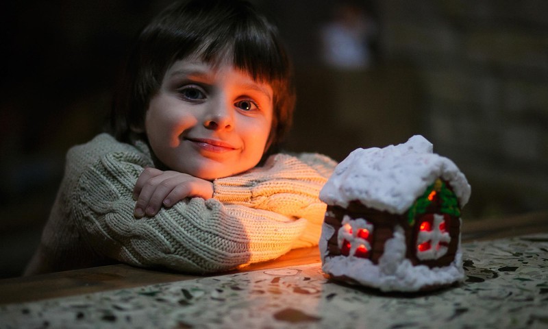 Пряничный домик на Рождество, рецепт с фото пошагово