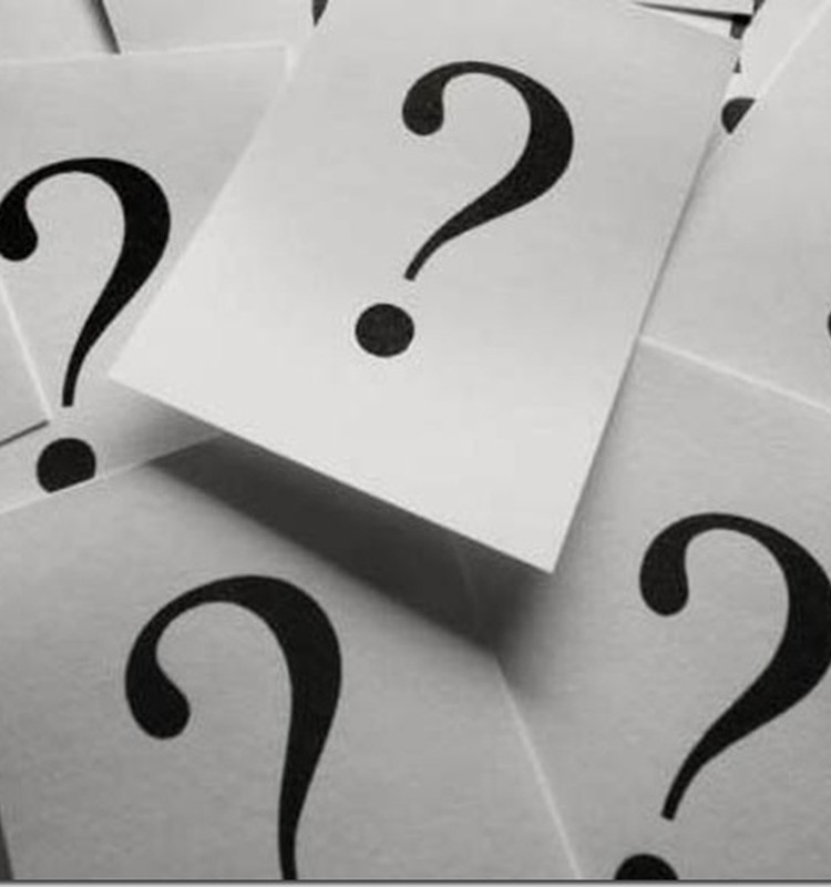 А вы привыкли к новому Маминому Клубу? 