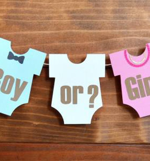 20 НЕДЕЛЯ: Мальчик или девочка?