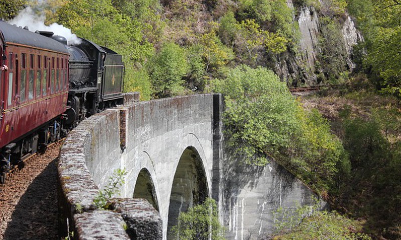 ЛЕТНИЙ ГИД 2015: итоги тринадцатой недели 