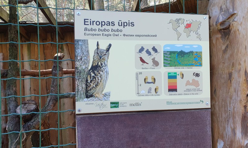 Рижский зоо на фоне Балтии: хорошо, но дорого