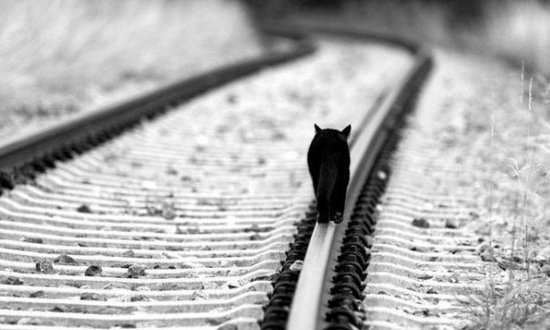 БЛОГ НАСТИ: Ухожу...