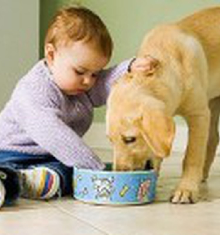 Объясняем, почему собака лучший друг человека