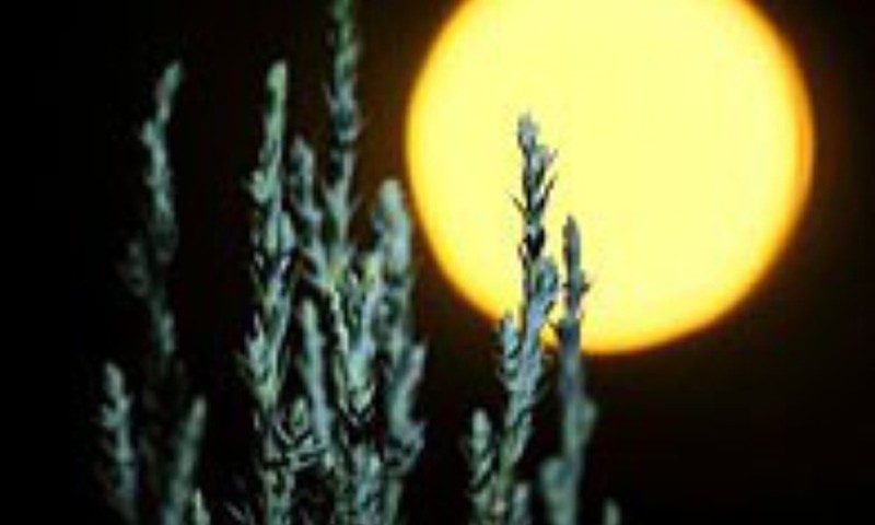БЛОГ АСТРОЛОГА: Роль Луны в гороскопе ребенка