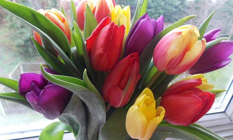 И ничто тут не поделаешь