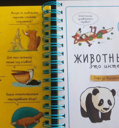 Книжный клуб: “Животные - это интересно!”