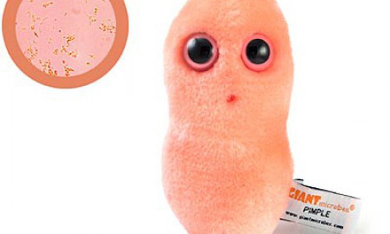 Плюшевые микробы - как вам такие?