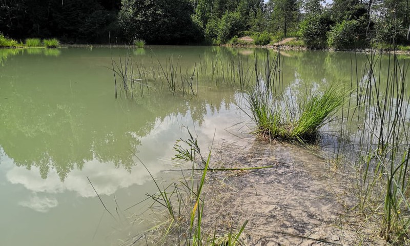 Лето, ах лето: озеро Лачкрога – разочарование сезона