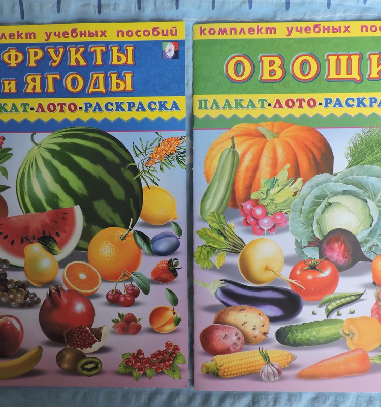 Рубрика «Находка»: Комплект учебных пособий – плакат, лото, раскраска