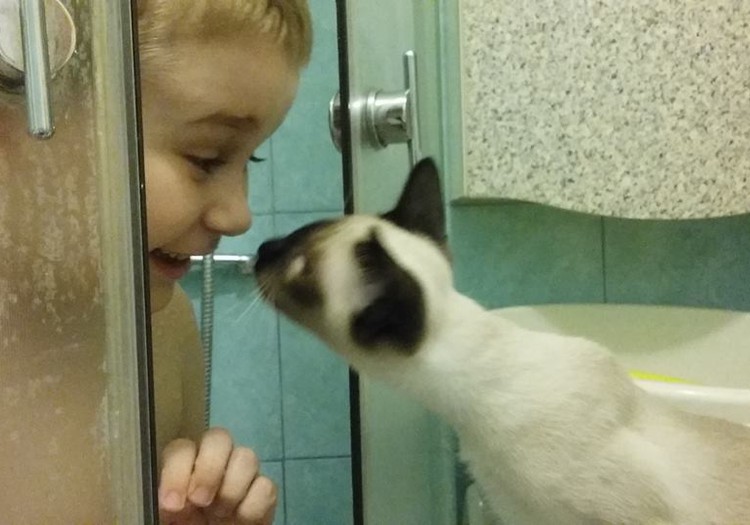 Ты только посмотри: 11 котиков и их юных владельцев!