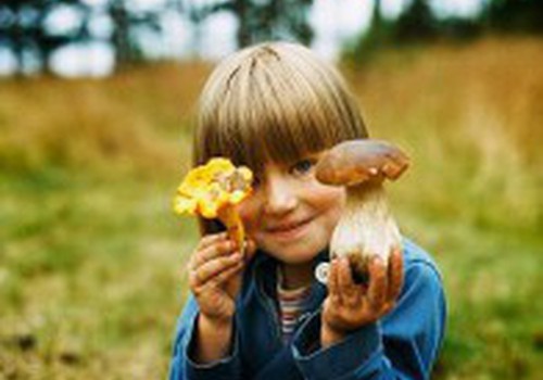 Детям есть грибы не рекомендуется до 5 лет